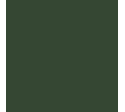 RAL 6020 